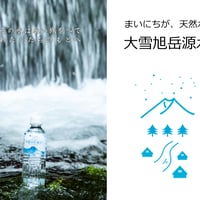 大雪旭岳源水源水 - 500ml×24本入り×２ケース -