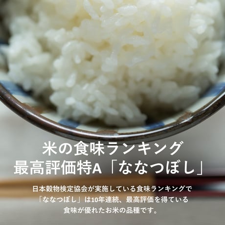 【令和7年産】東川米 ななつぼし - 白米・５kg×２袋 -
