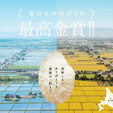 【令和7年産】東川米 ゆめぴりか - 白米・５kg×２袋 -