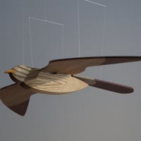 鳥たちの空 - カッコウモビール -
