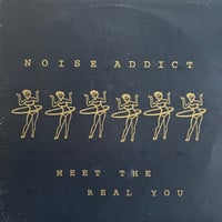 Noise Addict / Meet The Real You