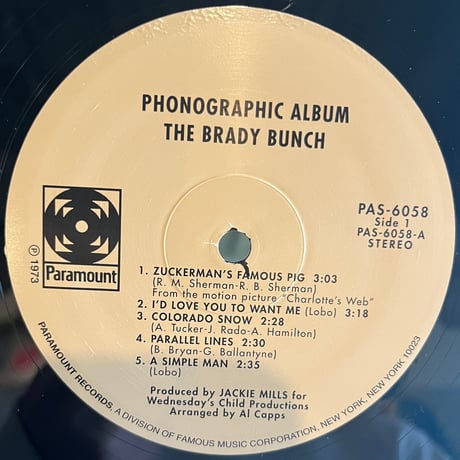 The Brady Bunch / Phonographic Album