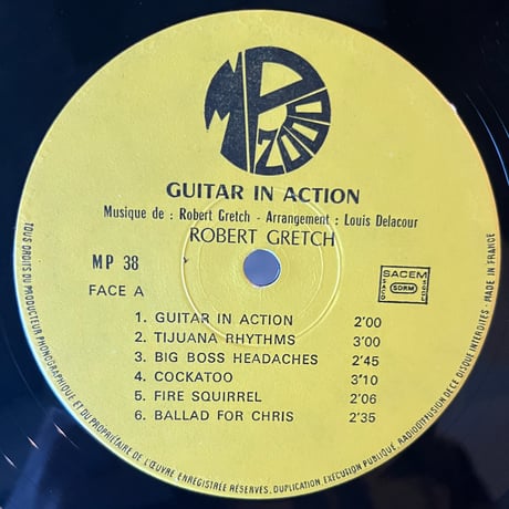Robert Gretch / Guitar In Action