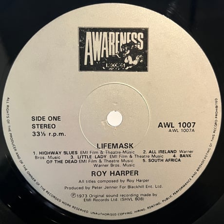 Roy Harper / Lifemask