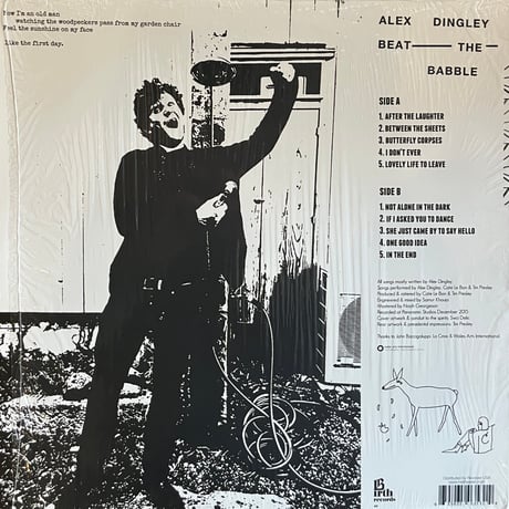 Alex Dingley / Beat The Babble