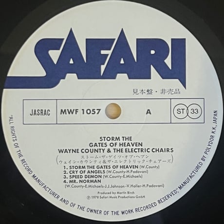 Wayne County & The Electric Chairs / Storm The Gates Of Heaven
