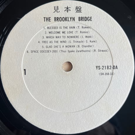 Brooklyn Bridge / 雨の讃歌