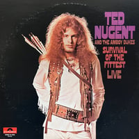 Ted Nugent And The Amboy Dukes / Live