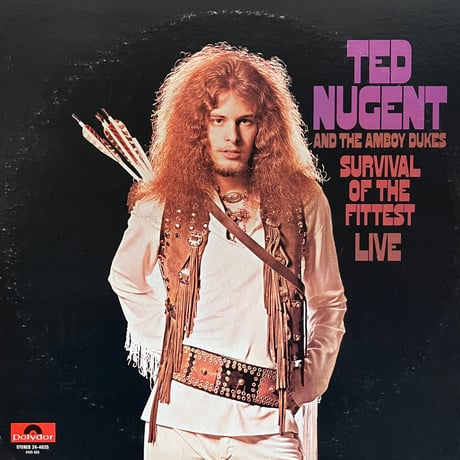 Ted Nugent And The Amboy Dukes / Live