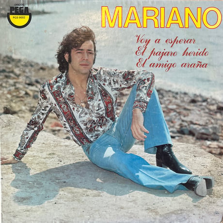Mariano /  Voy A Esperar