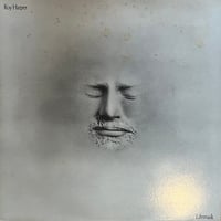 Roy Harper / Lifemask