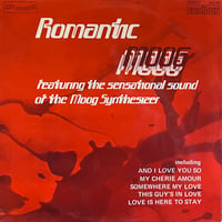 Tony Bagwell / Romantic Moog