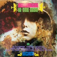 V.A. / Adventures In The Mist