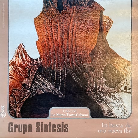 Grupo Sintesis / En Busca De Una Nueva Flor