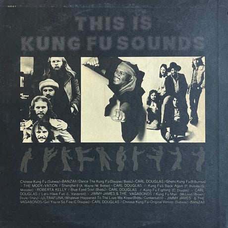 V.A. / This Is Kung Fu Sounds