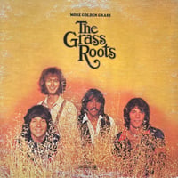 The Grass Roots / More Golden Glass