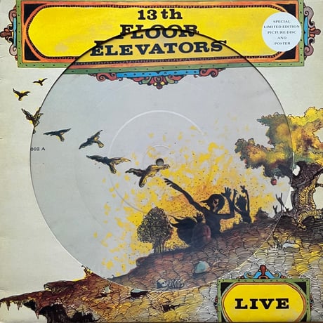 13th Floor Elevators / Live