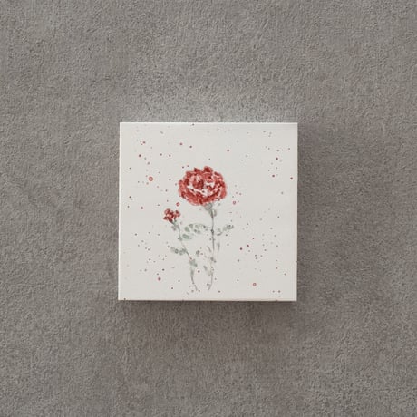 lumikka｜Correspondence-Botanica｜49