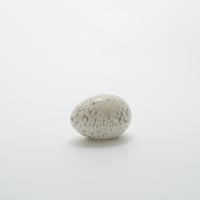 Nuutajarvi / Iittala｜Birds by Toikka｜egg｜white