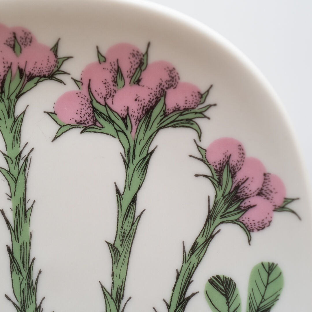 ARABIA アラビア ボタニカ エステリ・トムラ エゾノチチコグサ ARABIA