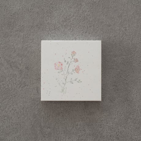 lumikka｜Correspondence-Botanica｜50