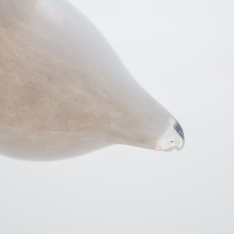 Nuutajarvi / Iittala｜Birds by Toikka｜Little Tern｜white