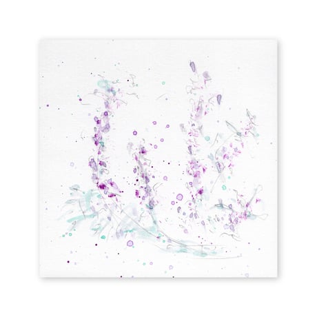 lumikka｜Correspondence-Botanica｜22