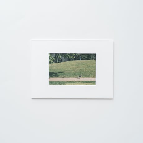 Finlandscape｜081