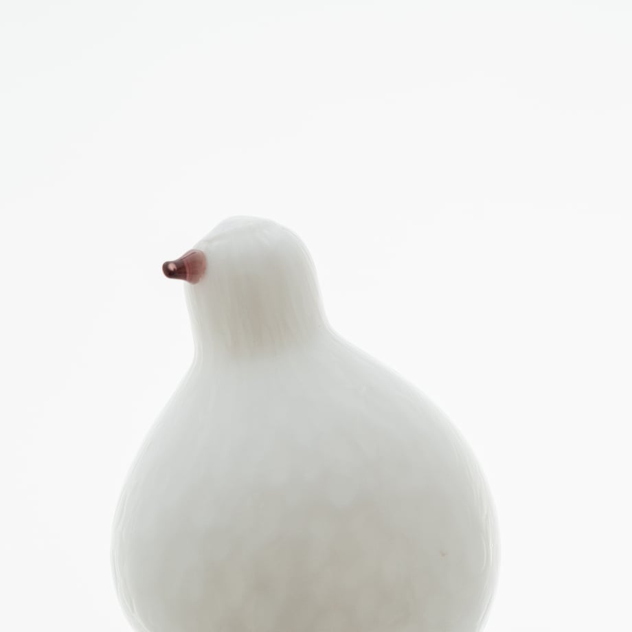 66792010c650080354e8e8a4