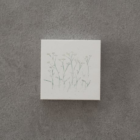 lumikka｜Correspondence-Botanica｜24