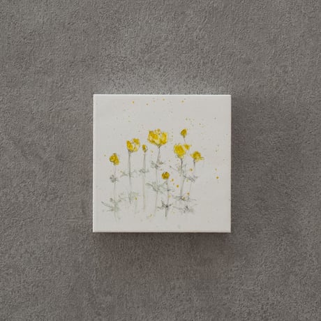lumikka｜Correspondence-Botanica｜33