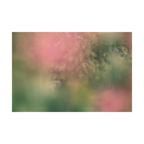 lumikka｜Correspondence-Finland｜05
