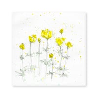 lumikka｜Correspondence-Botanica｜33