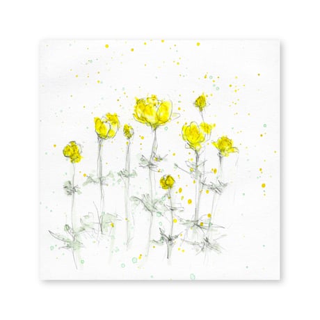 lumikka｜Correspondence-Botanica｜33