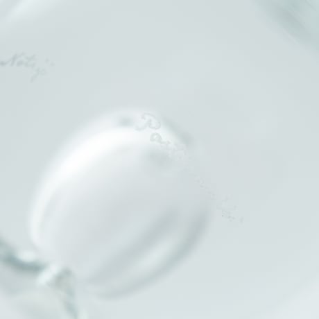 Nuutajarvi｜art glass｜apple