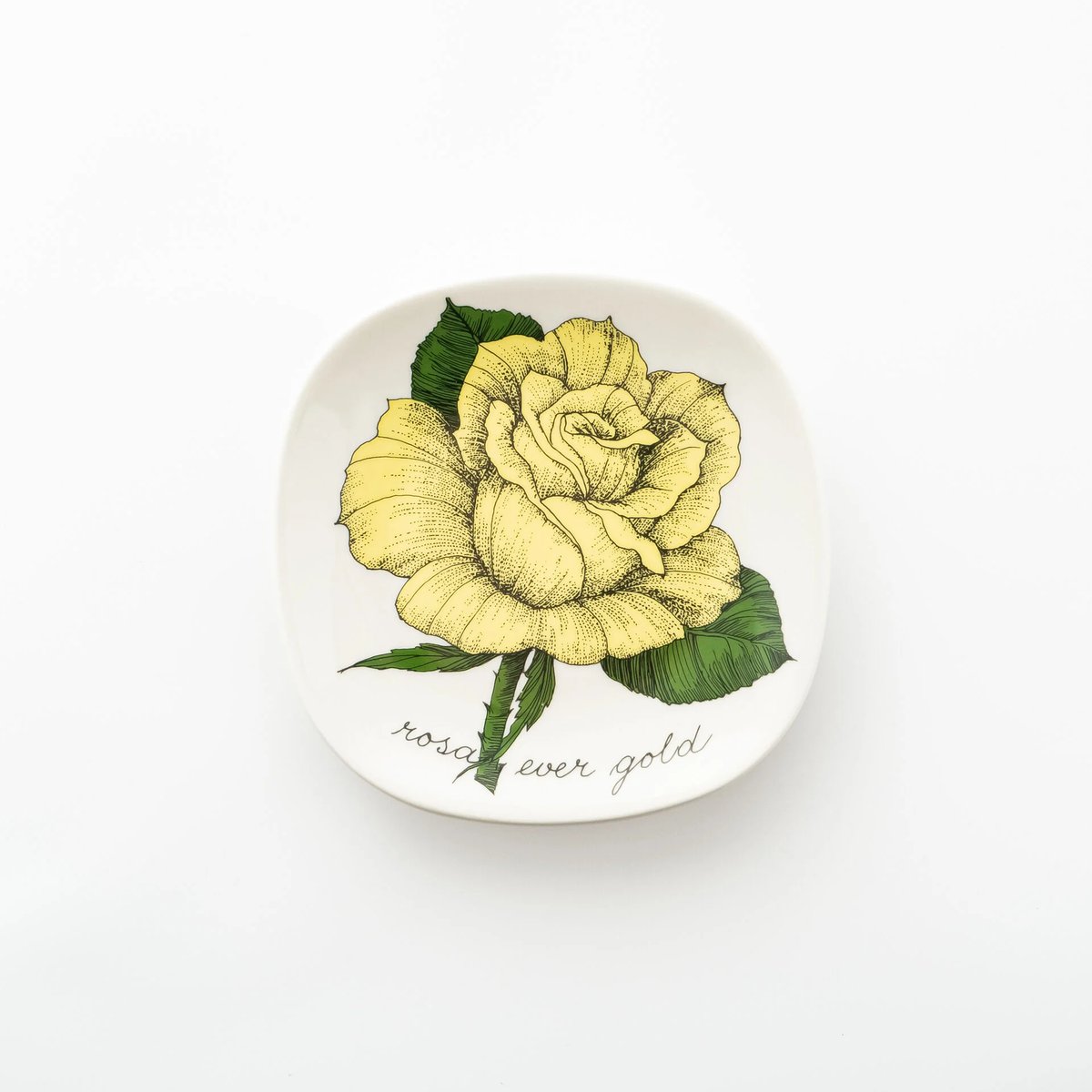 Botanica｜52｜ロサ・エバーゴールド / Rosa Ever Gold | lumik