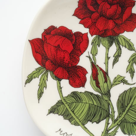 Botanica｜53｜ロサ・ポリアンサ / Rosa polyantha