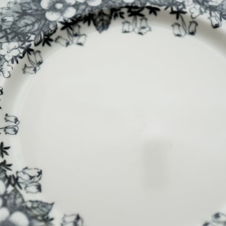 Arabia｜Talvikki｜plate φ17cm