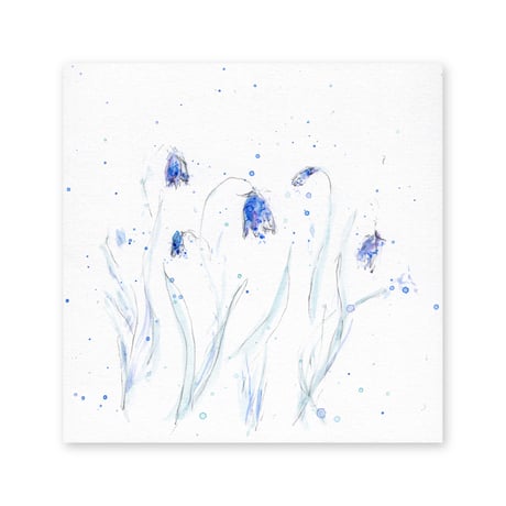 lumikka｜Correspondence-Botanica｜10