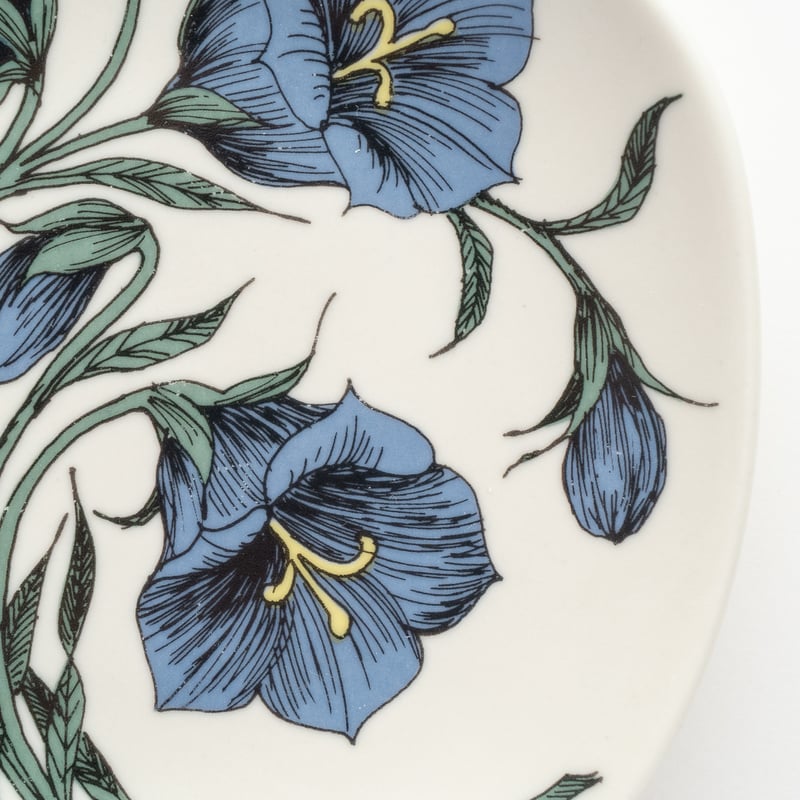 Botanica｜16｜モモノハギキョウ / Campanula persicifolia |