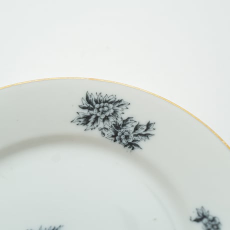Arabia｜Astra｜plate φ17cm