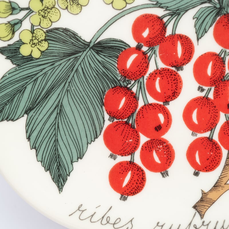 ARABIA エステリ・トムラ ボタニカ \"Ribes rubrum\" ARABIA エステリ・トムラ ボタニカ 