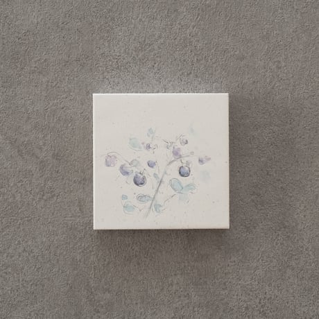 lumikka｜Correspondence-Botanica｜45