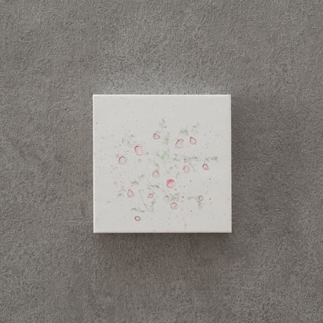 lumikka｜Correspondence-Botanica｜41