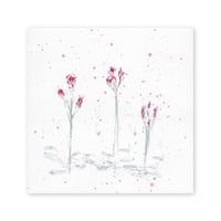 lumikka｜Correspondence-Botanica｜20