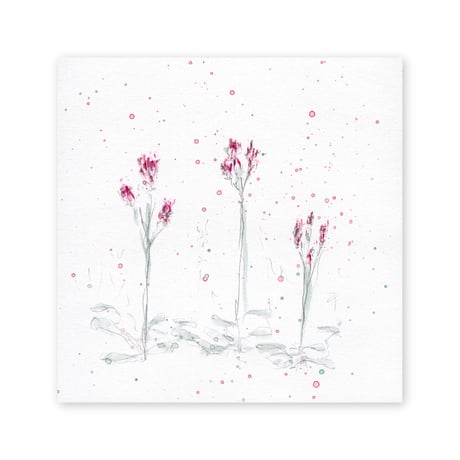 lumikka｜Correspondence-Botanica｜20