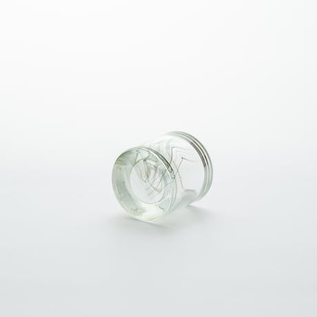 Iittala｜Kivi｜candle holder｜mixed color｜stripe