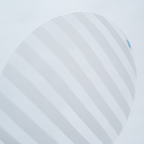 Nuutajarvi｜Vaskooli｜plate φ21cm