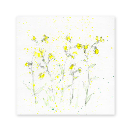 lumikka｜Correspondence-Botanica｜26