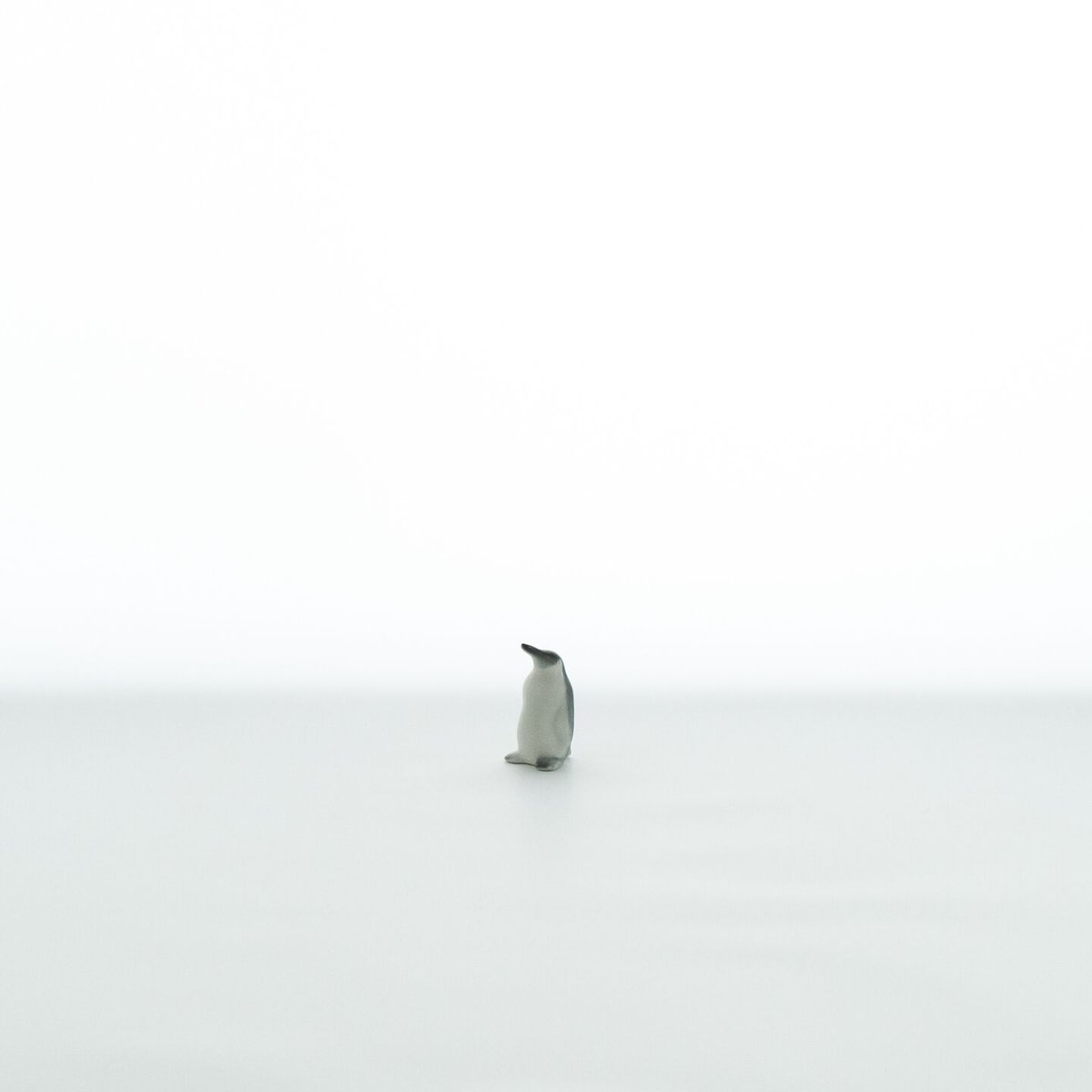 Arabia|Animal figurine(アニマルフィギュリン)|penguin|S | Arabia|Animal figurine(アニマルフィギュリン)|penguin|S |